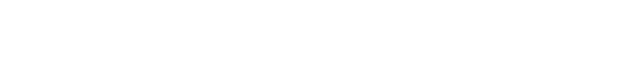 Banca Intesa Logo